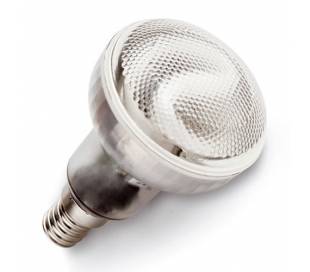 E14 R50 Energiesparbirne 7W...