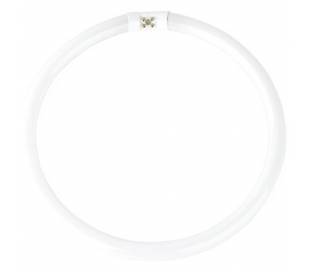 Fluorescentes Circular T5 32W 4200K  