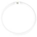 Fluorescentes Circular T5 55W 4200K  